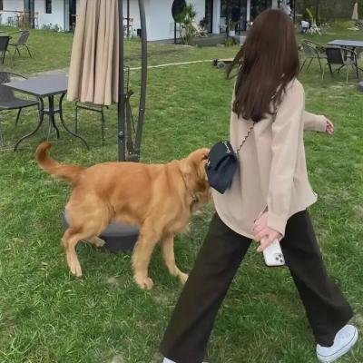 危险小宝贝